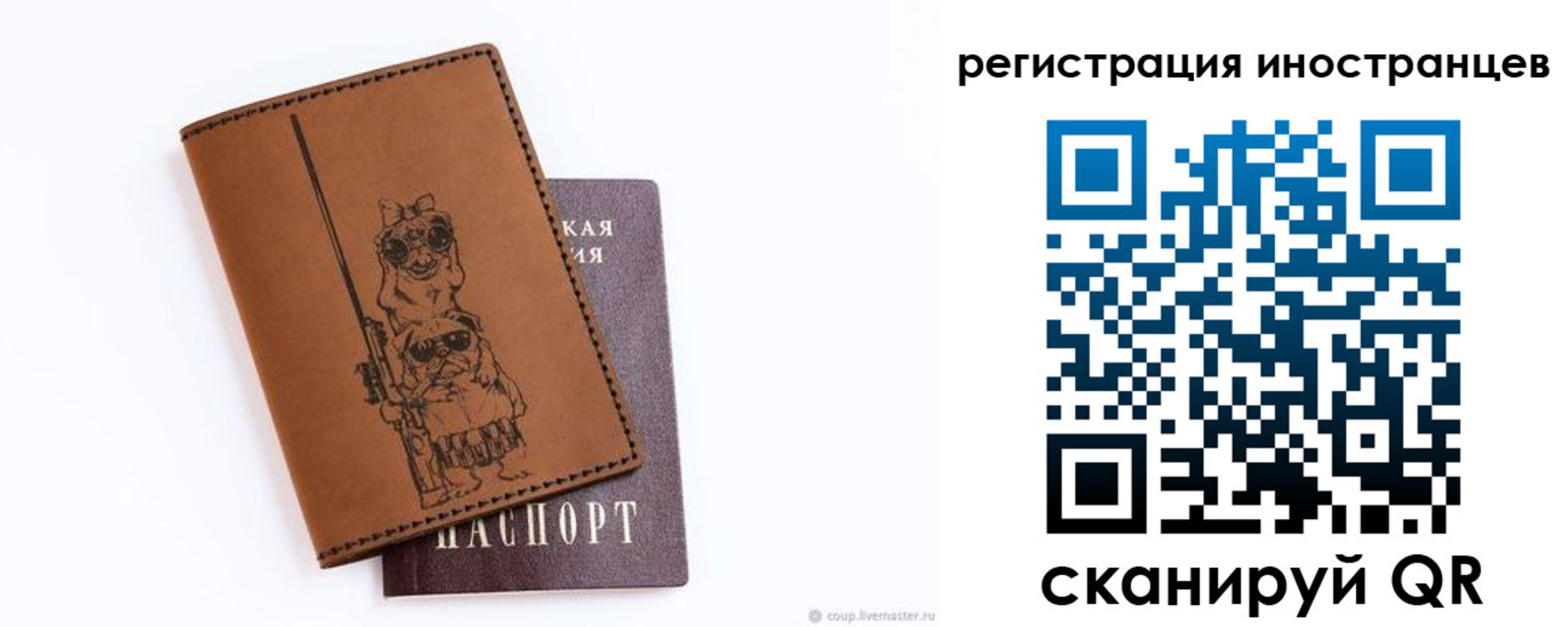 прописка гарантия в Куртамыше